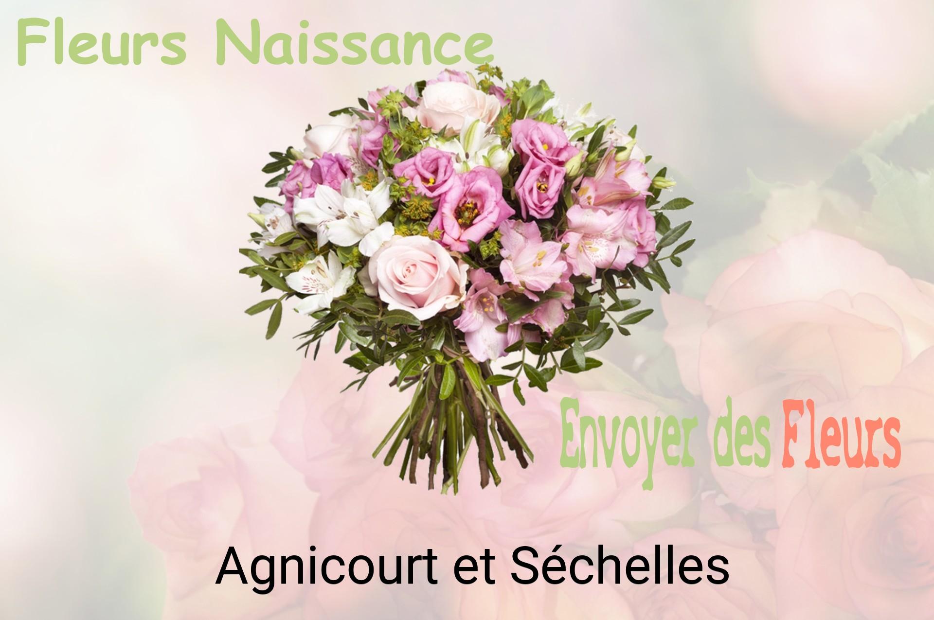 Bouquet de fleurs de naissance livré à Agnicourt-et-Séchelles